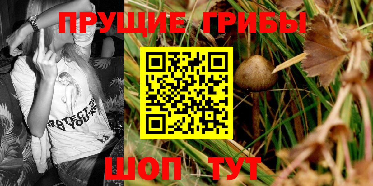 Тимашёвск  Псилоцибиновые грибы мухоморы  продажа наркотиков  Вход с VPN 